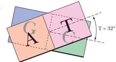Two stacked base pairs, guanine-cytosine and adenine-thymine, drawn as tilted planes with a 32 degree twist angle between them