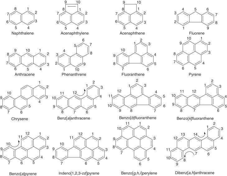 Chemical ring structures of polycyclic aromatic hydrocarbons including naphthalene, anthracene, pyrene, chrysene and benzo(a)pyrene