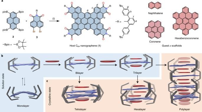 Scheme of amphiphilic PAH molecules self assembling from a bilayer into trilayer, hexalayer and polylayer stacked structures