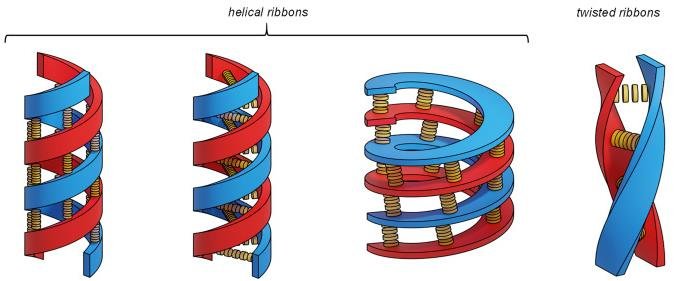 PAH stacks rotating on top of each other into helical ribbons, red and blue strands twisting around each other, alongside untwisted ribbons for comparison