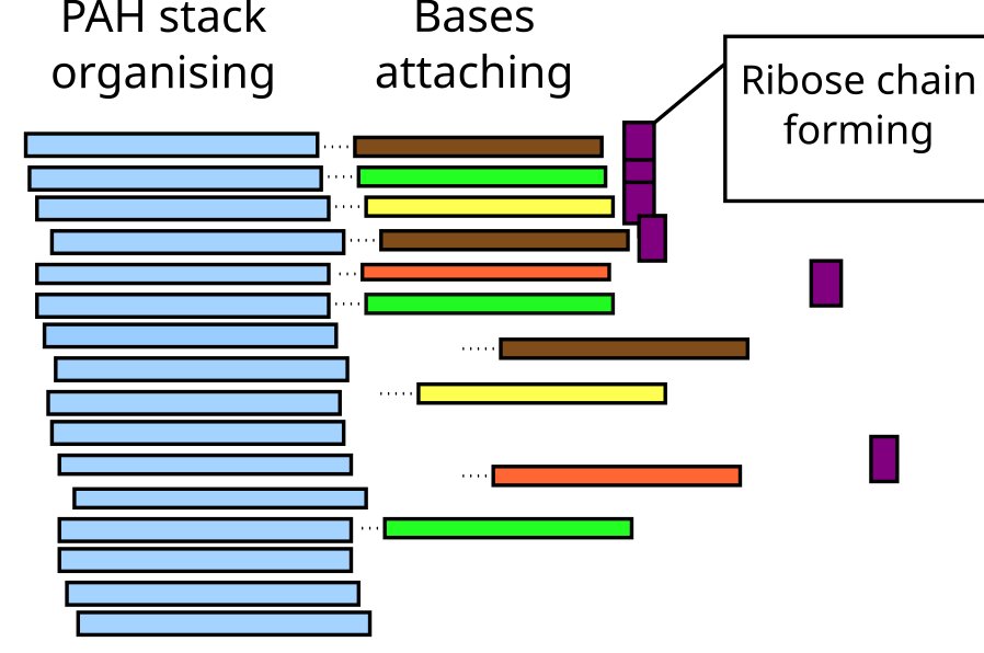 Diagram of a PAH stack organising, coloured bases attaching to the stack, and purple ribose units forming a chain alongside it