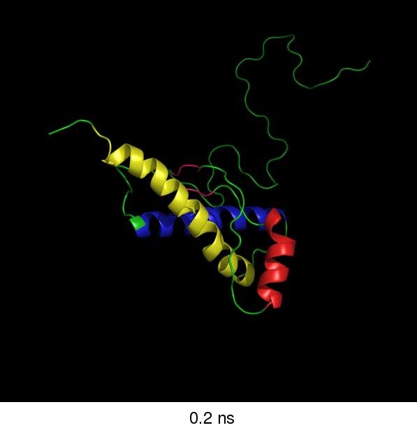 Molecular dynamics snapshot at 0.2 ns of a protein partly unfolded from its native state, with ordered helical segments and a long, extended unstructured tail, unlabelled