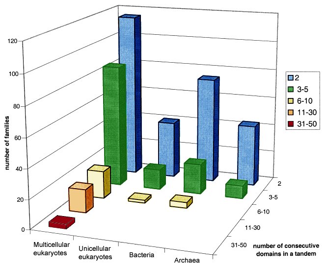 3D bar chart of protein families by number of consecutive tandem domains (2, 3-5, 6-10, 11-30, 31-50) in multicellular eukaryotes, unicellular eukaryotes, bacteria and archaea, with only multicellular eukaryotes reaching the higher tandem-repeat counts
