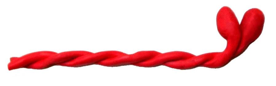 A pair of myosin molecules: two alpha-helical tails wound together as a coiled coil, ending in two globular heads