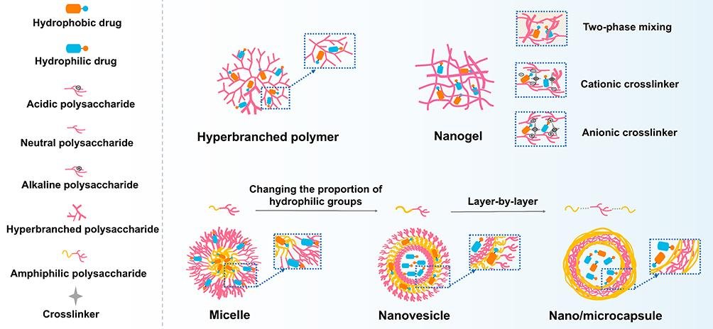 Nanocarrier types grouped as lipid-based, self-assembled and inorganic, including liposome, nanogel, micelle, virosome, polymer and metal nanoparticles
