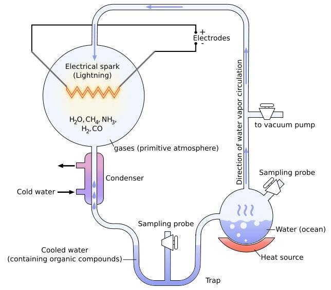 Miller-Urey apparatus: an electrical spark chamber acting on H2O, CH4, NH3, H2 and CO gases, linked to a condenser, cooled-water trap and a heated flask of ocean water