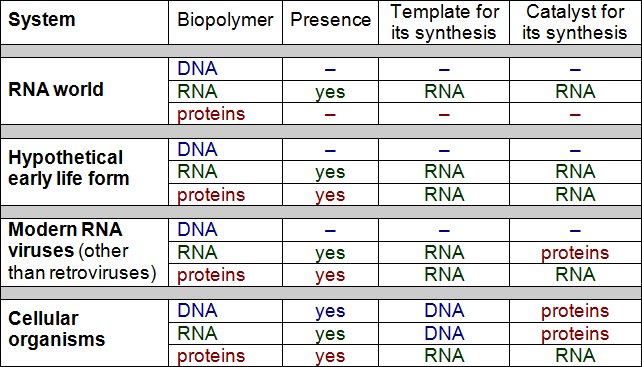 Table comparing the RNA world, a hypothetical early life form, modern RNA viruses and cellular organisms for presence of DNA, RNA and proteins and what templates and catalyses each