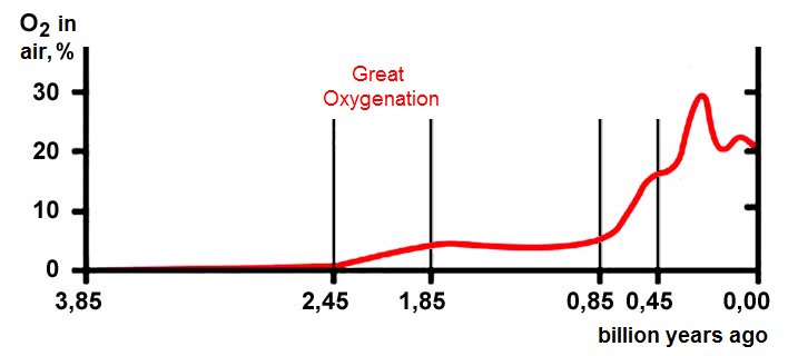 Graph of atmospheric O2 percentage from 3.85 to 0 billion years ago, staying near zero for most of the span before rising after the Great Oxygenation event